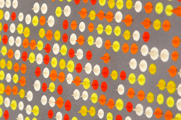 Memory Lapse, detail