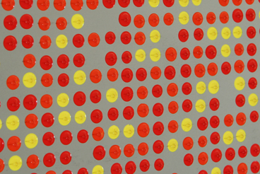 LL-6, detail