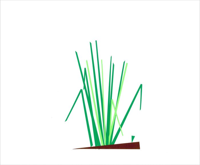 Tall Grass