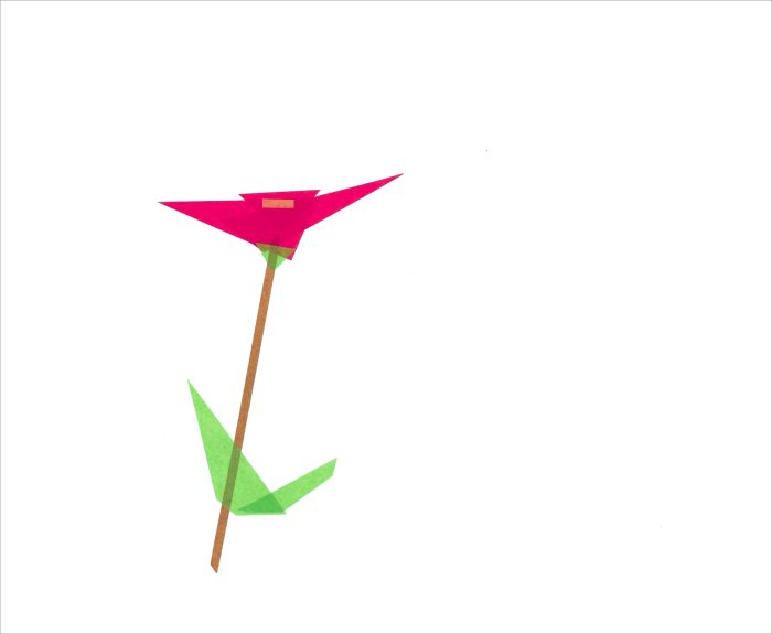 Poppy With Long Stem