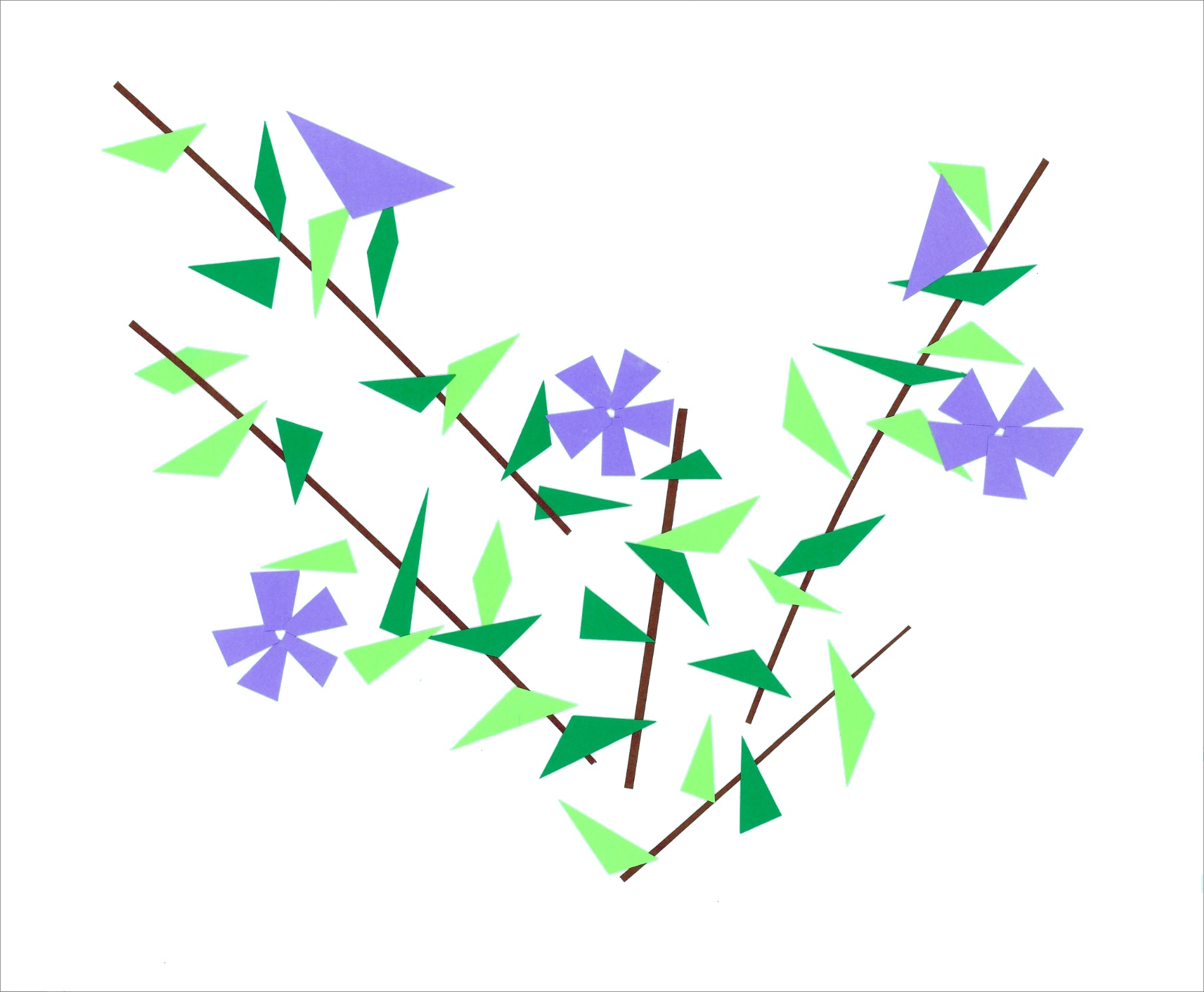Vinca Minor